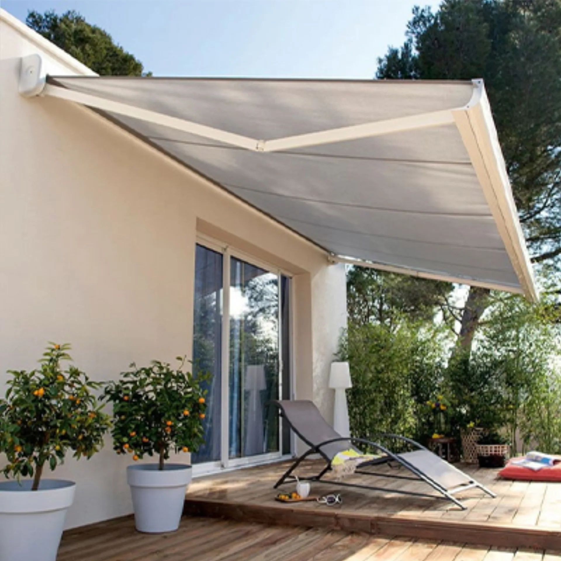 Canopy